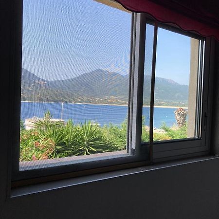 Appartement T3 Propriano Pied Dans L'Eau Extérieur photo
